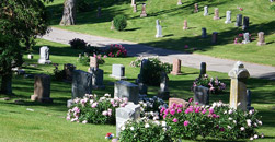 Allen Mitchell Funeral Home